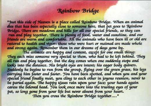 rainbowbridge.jpg